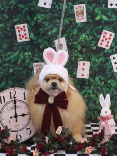 20250413梛都ちゃん